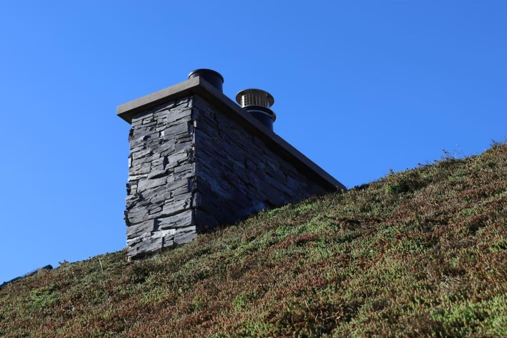 Eco-Lodge With Sea View Charleton Estate Colinsburgh Exteriör bild