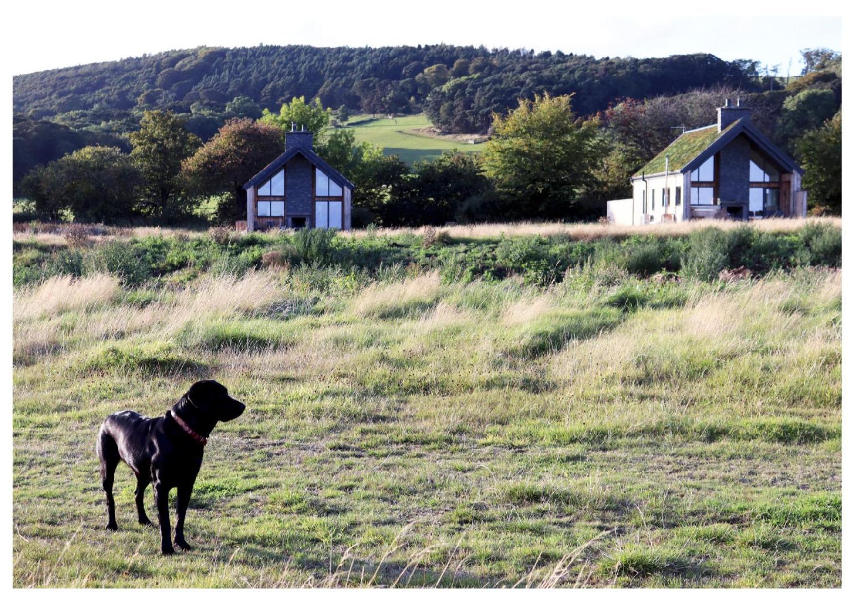 Eco-Lodge With Sea View Charleton Estate Colinsburgh Exteriör bild